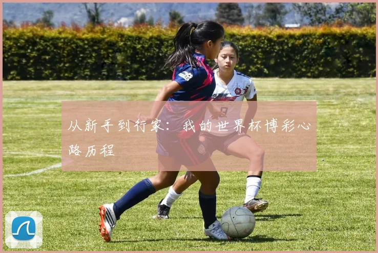 从新手到行家：我的世界杯博彩心路历程