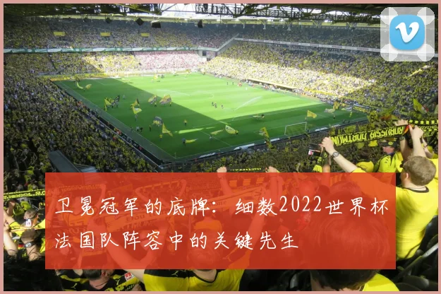 卫冕冠军的底牌:细数2022世界杯法国队阵容中的关键先生
