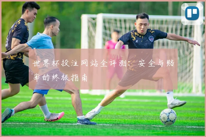世界杯投注网站全评测:安全与赔率的终极指南