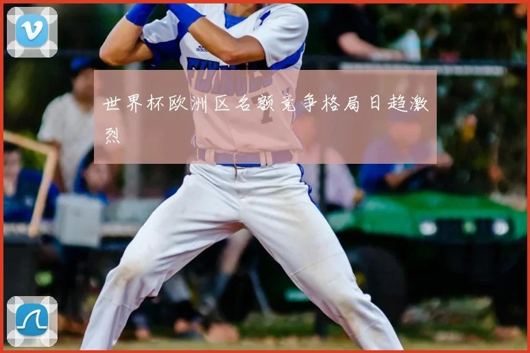 世界杯欧洲区名额竞争格局日趋激烈