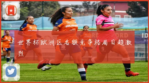 世界杯欧洲区名额竞争格局日趋激烈