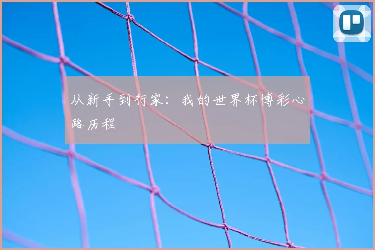 从新手到行家:我的世界杯博彩心路历程