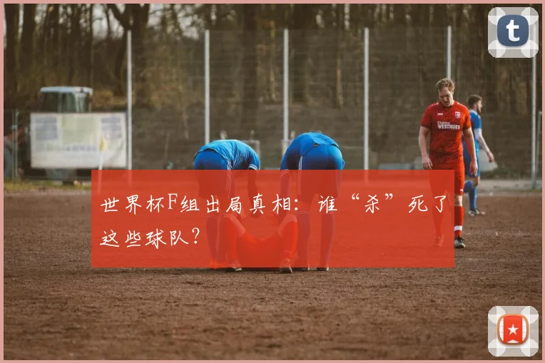 世界杯F组出局真相:谁“杀”死了这些球队?