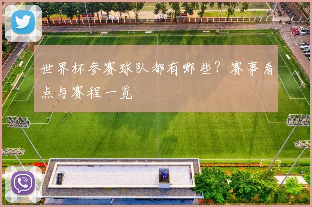 世界杯参赛球队都有哪些?赛事看点与赛程一览