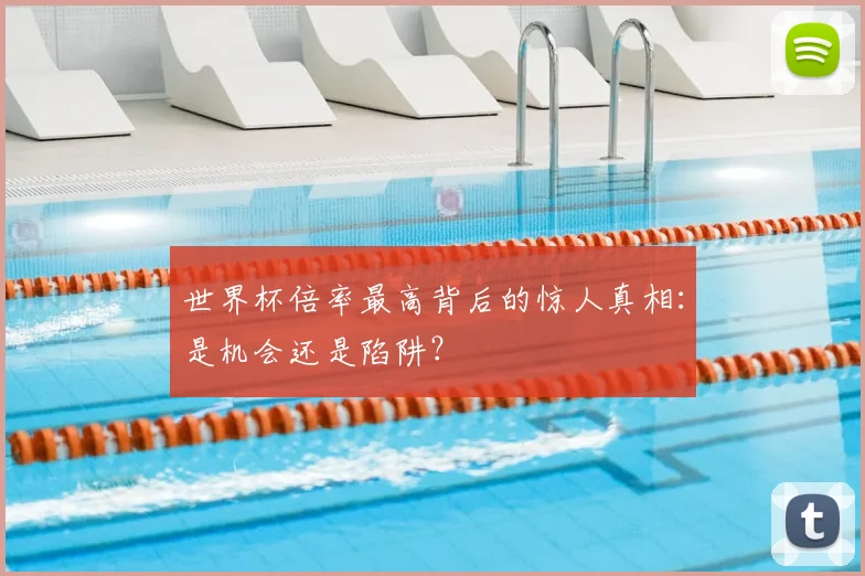 世界杯倍率最高背后的惊人真相：是机会还是陷阱？