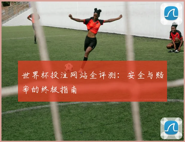 世界杯投注网站全评测：安全与赔率的终极指南