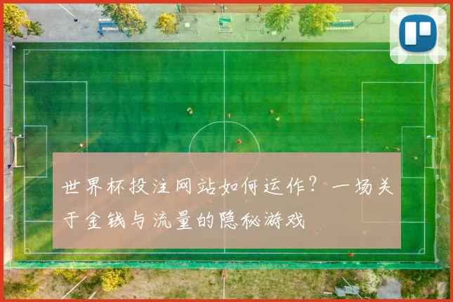 世界杯投注网站如何运作？一场关于金钱与流量的隐秘游戏