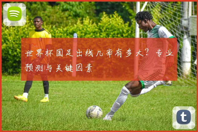 世界杯国足出线几率有多大?专业预测与关键因素
