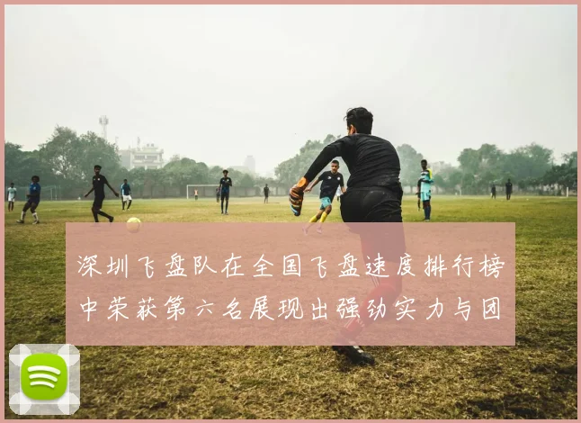 深圳飞盘队在全国飞盘速度排行榜中荣获第六名展现出强劲实力与团队合作精神