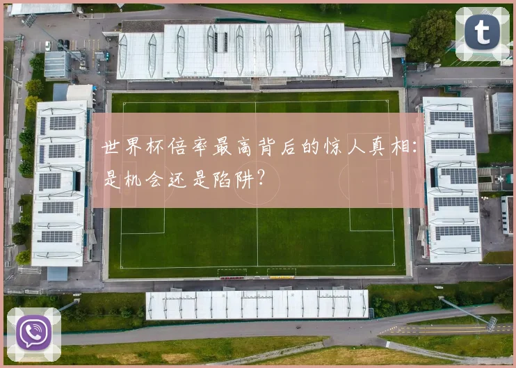 世界杯倍率最高背后的惊人真相:是机会还是陷阱?