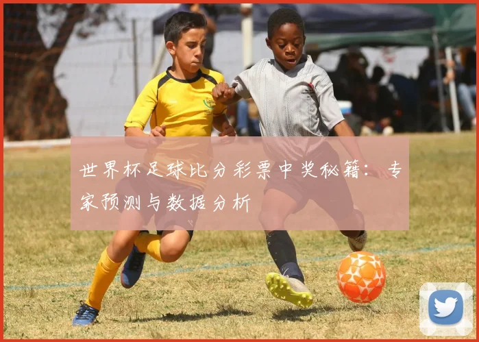 世界杯足球比分彩票中奖秘籍：专家预测与数据分析