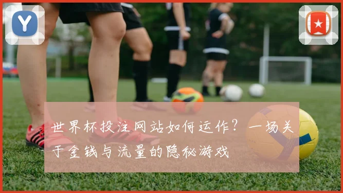 世界杯投注网站如何运作?一场关于金钱与流量的隐秘游戏
