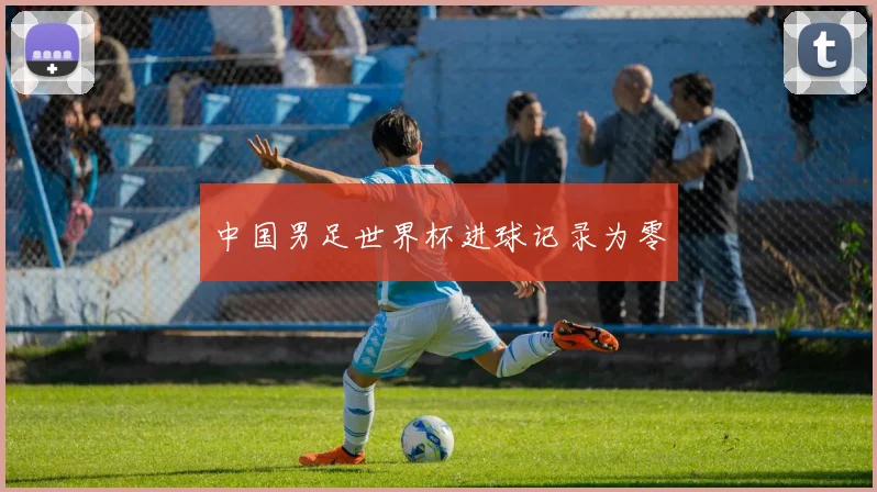 中国男足世界杯进球记录为零