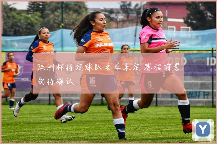 欧洲杯待定球队名单未定 赛程前景仍待确认