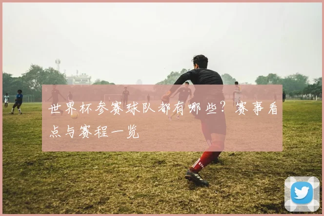 世界杯参赛球队都有哪些？赛事看点与赛程一览