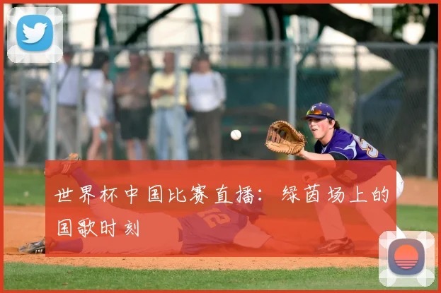 世界杯中国比赛直播：绿茵场上的国歌时刻